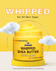 Whipped Shea Butter(Creamy Coconut) - 12 oz.
