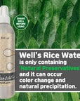 Rice Water Spray 8oz