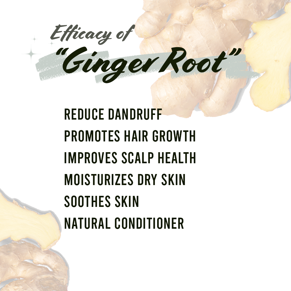 Well&#39;s Herb GINGER ROOT | 1.9 oz.