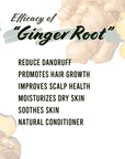 Well's Herb GINGER ROOT | 1.9 oz.