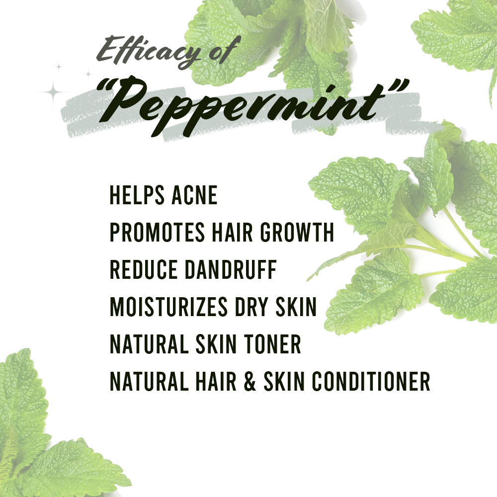 Well&#39;s Herb PEPPERMINT LEAF