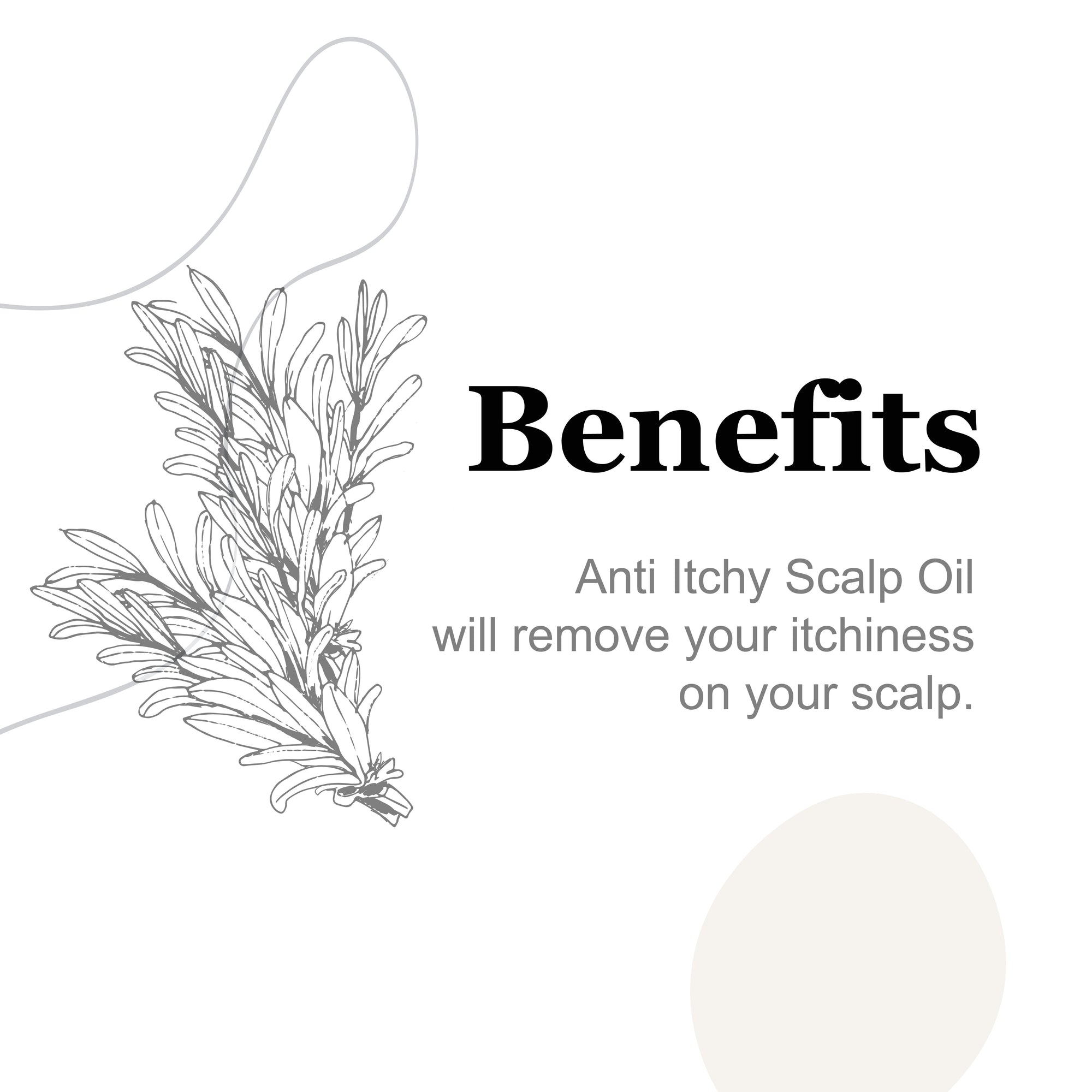 Anti Itchy Scalp Ayurvedic Hair Oil 2oz