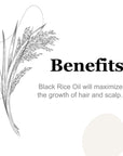 Black Rice Ayurvedic Hair Oil 2oz